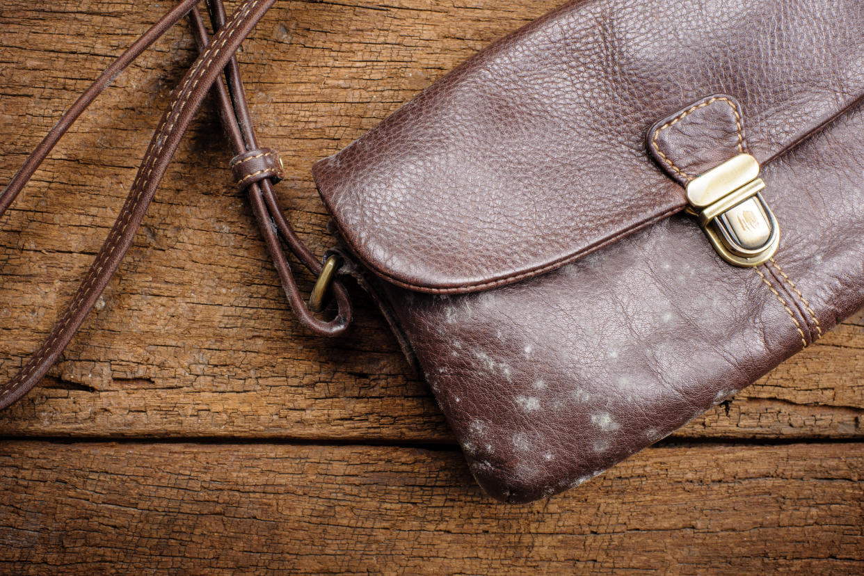 Mould on old brown leather bag. (PHOTO: Getty Images)