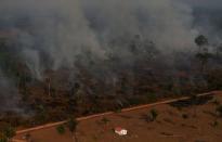 Pictures of the Year: Fires in the Amazon: a barrier to climate change up in smoke