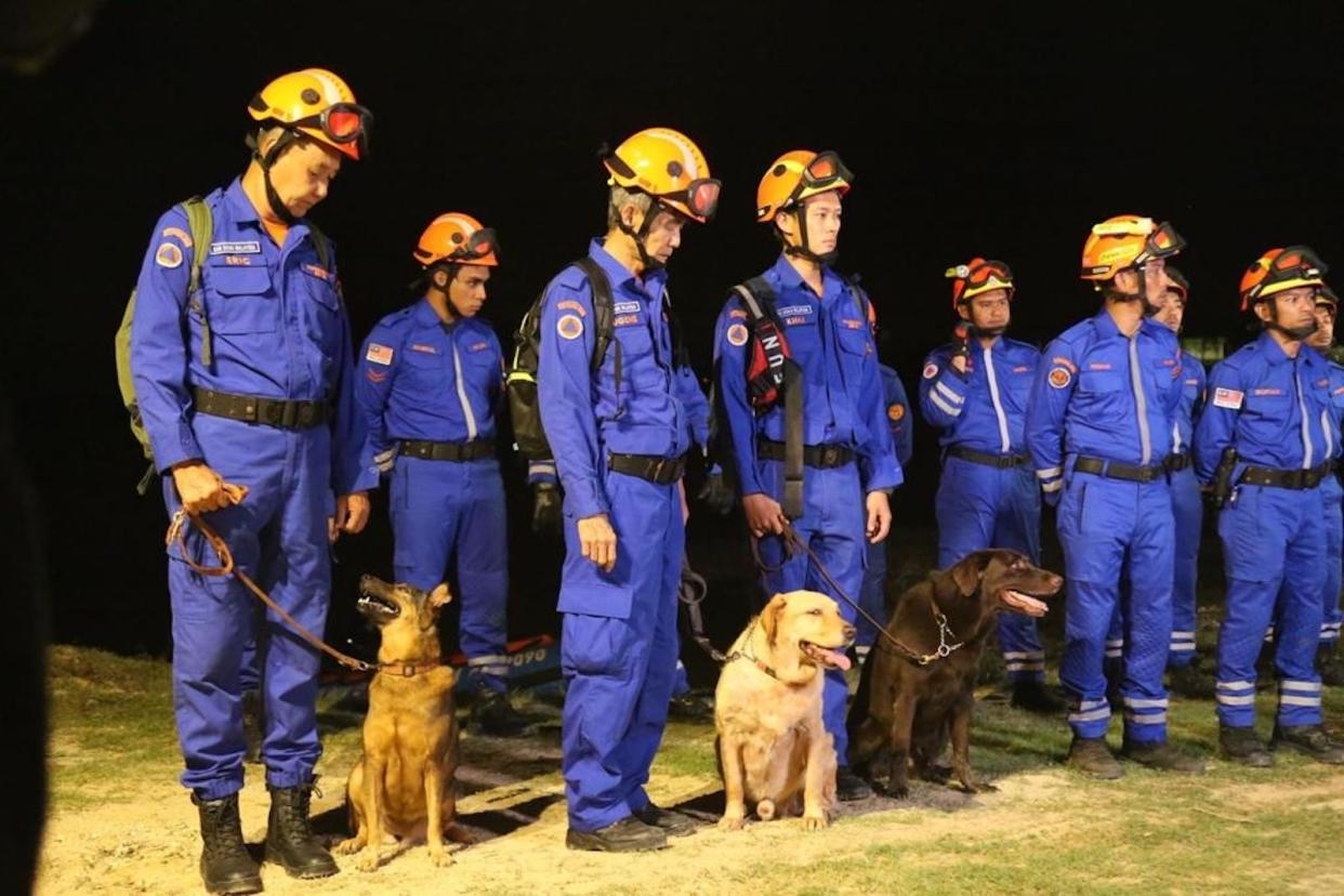 Multiple rescue dogs with their handlers dressed in blue uniform and yellow helmets