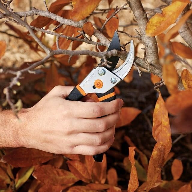 <p><a href="https://go.redirectingat.com?id=74968X1596630&url=https%3A%2F%2Fwww.walmart.com%2Fip%2FFiskars-Traditional-Bypass-Pruner-Steel-Blade-and-Non-Slip-Handle%2F1681947128&sref=https%3A%2F%2Fwww.thepioneerwoman.com%2Fhome-lifestyle%2Fgardening%2Fg60025848%2Fwalmart-garden-tools%2F" rel="nofollow noopener" target="_blank" data-ylk="slk:Shop Now;elm:context_link;itc:0;sec:content-canvas" class="link ">Shop Now</a></p><p>Fiskars Traditional Bypass Pruner</p><p>walmart.com</p><p>$13.97</p><span class="copyright">Walmart</span>