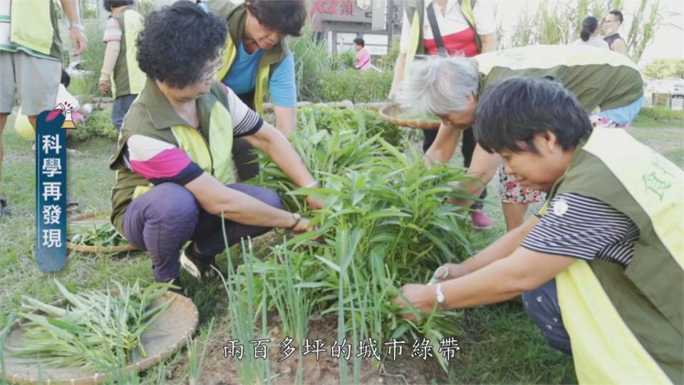 全國首座食物森林落成 建立正確飲食觀念