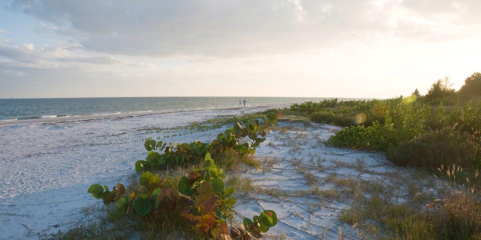 <p>Sanibel Island is a low-key spot on <a href="https://www.bestproducts.com/fun-things-to-do/g2471/amazing-beaches-in-florida/" rel="nofollow noopener" target="_blank" data-ylk="slk:Florida's;elm:context_link;itc:0;sec:content-canvas" class="link ">Florida's</a> west coast that's known for its abundance of seashells. People come from all over to do the "Sanibel stoop," which is what island dwellers call combing the beaches for one-of-a-kind seaglass finds. <br></p><p><a class="link " href="https://go.redirectingat.com?id=74968X1596630&url=https%3A%2F%2Fwww.tripadvisor.com%2FHotel_Review-g34616-d219000-Reviews-West_Wind_Inn-Sanibel_Island_Florida.html&sref=https%3A%2F%2Fwww.redbookmag.com%2Flife%2Fg34756735%2Fbest-beaches-for-vacations%2F" rel="nofollow noopener" target="_blank" data-ylk="slk:BOOK NOW;elm:context_link;itc:0;sec:content-canvas">BOOK NOW </a> West Wind Inn</p><p><a class="link " href="https://go.redirectingat.com?id=74968X1596630&url=https%3A%2F%2Fwww.tripadvisor.com%2FHotel_Review-g34616-d126159-Reviews-Sundial_Beach_Resort_Spa-Sanibel_Island_Florida.html&sref=https%3A%2F%2Fwww.redbookmag.com%2Flife%2Fg34756735%2Fbest-beaches-for-vacations%2F" rel="nofollow noopener" target="_blank" data-ylk="slk:BOOK NOW;elm:context_link;itc:0;sec:content-canvas">BOOK NOW </a> Sundial Beach Resort and Spa</p>