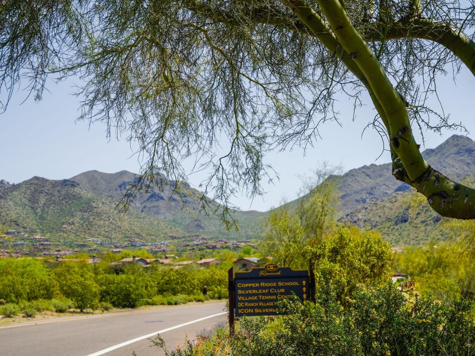 A sign of locations under a shaded tree to the right of a street with mountains in the background.