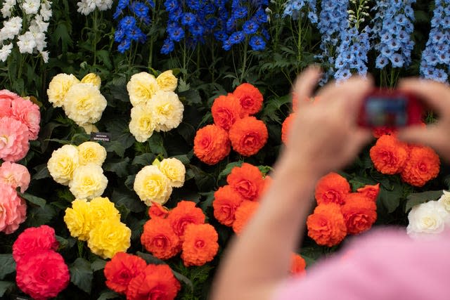 Chelsea Flower Show 2019