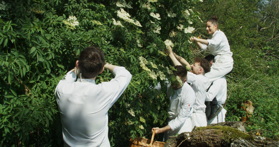 Chefs sages au bord des fleurs