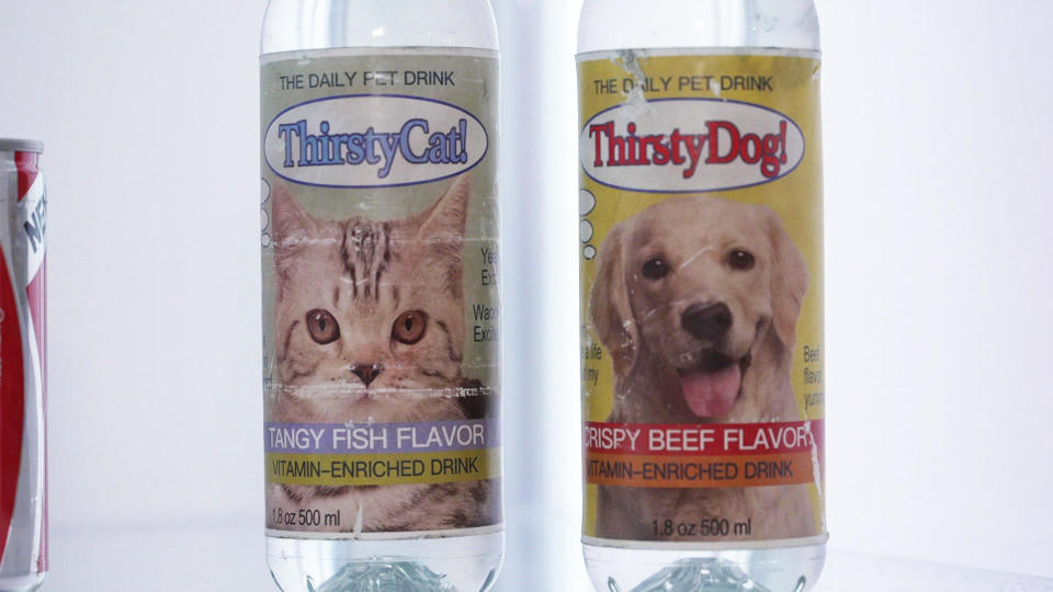 Because Fluffy and Fido deserve flavored water.  / Credit: CBS News