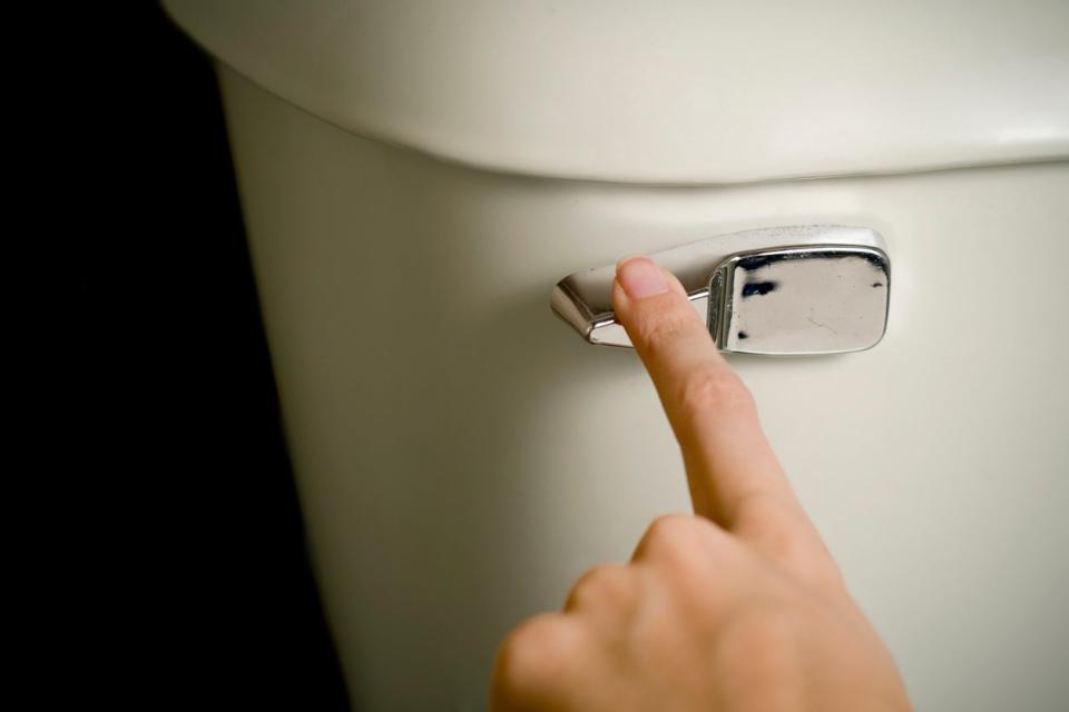 Person with index finger on toilet flush 