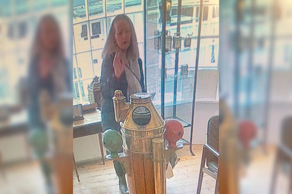 Do you know this woman? Antique clock worth £1k among haul stolen from shops <i>(Image: Hampshire Constabulary)</i>