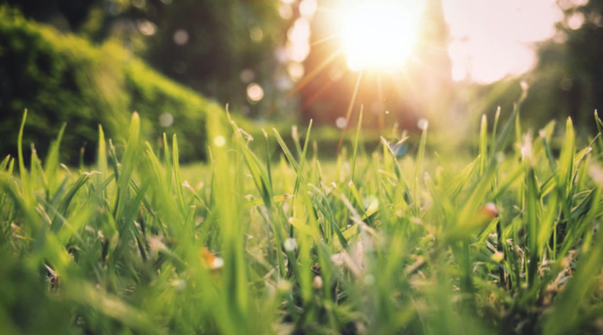 Temperatures soar in B.C. as spring-like warmth brings May feel