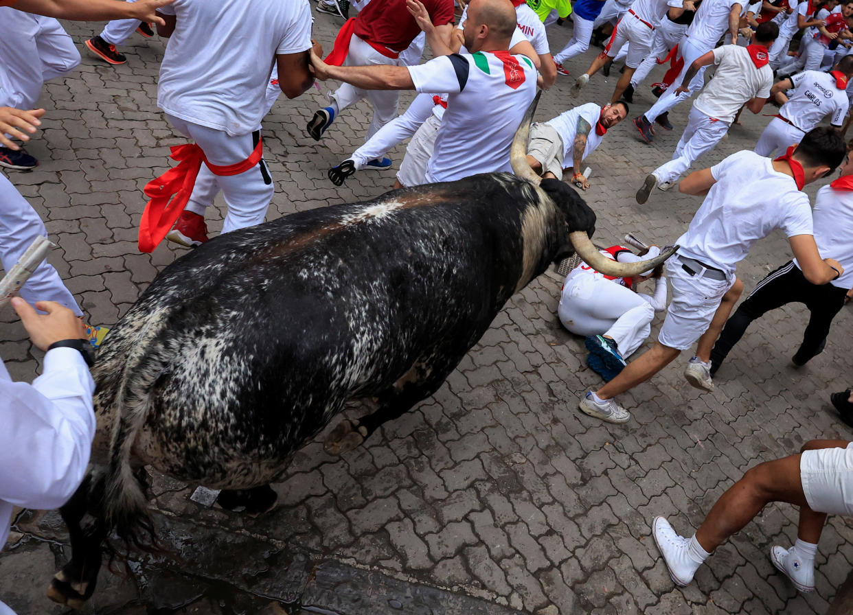 A bull surrounded by festival participants charges ahead, running in the direction of a man who has fallen on the ground.