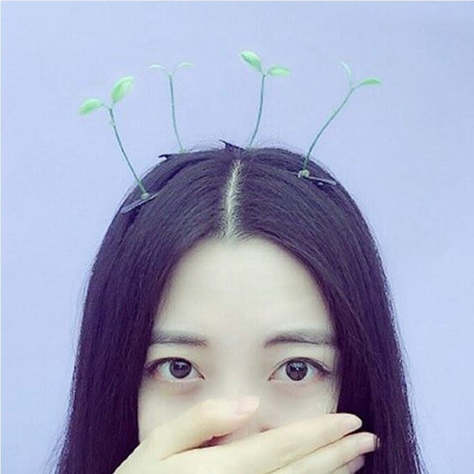 Would you don a bean sprout in your ’do?