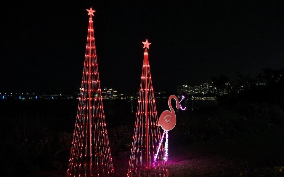 Selby Gardens' Lights in Bloom holiday light show, pictured here in 2022, will return select nights from Dec. 8 to Jan. 3.