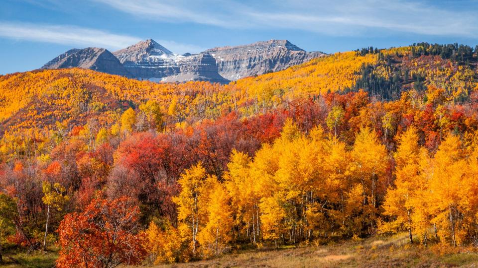 <p>As sad as we are to step away from the days of summer, at least we can look forward to the breathtaking visual of when the trees transition into their autumn colors. These seriously gorgeous photos of <a href="https://www.redbookmag.com/life/g28999486/things-you-never-knew-about-fall/" rel="nofollow noopener" target="_blank" data-ylk="slk:fall;elm:context_link;itc:0;sec:content-canvas" class="link ">fall</a> scenery are going to make you want to wrap yourself in a giant, knitted sweater, curl up on the couch, and sip on a something pumpkin spice flavored. </p>