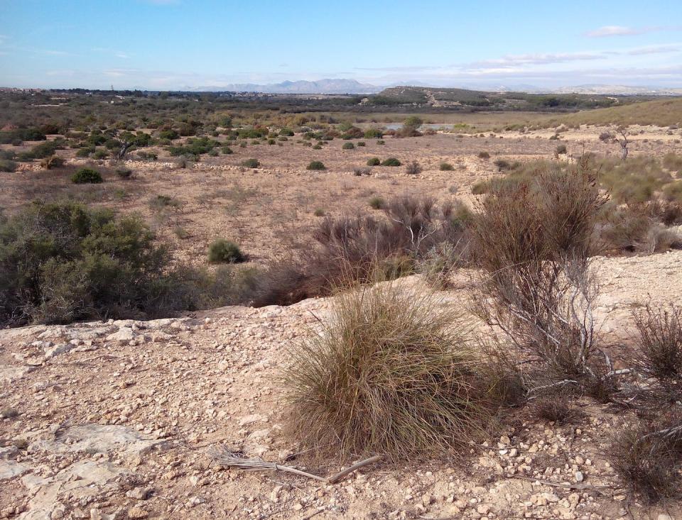   <span class="attribution"><a class="link " href="https://www.shutterstock.com/es/image-photo/vegetation-soil-area-threatened-by-desertification-678211633" rel="nofollow noopener" target="_blank" data-ylk="slk:Adriana Iacob / Shutterstock;elm:context_link;itc:0;sec:content-canvas">Adriana Iacob / Shutterstock</a></span>