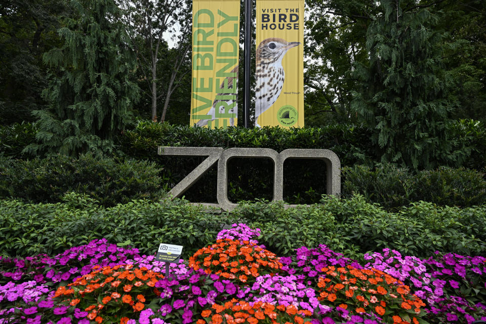 The Smithsonian's National Zoo in Washington D.C. / Credit: Celal Gunes/Anadolu Agency via Getty Images