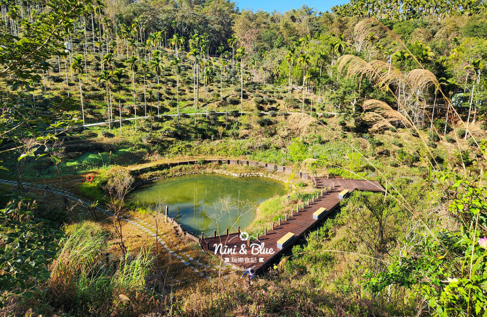 南投魚池｜澀水森林步道