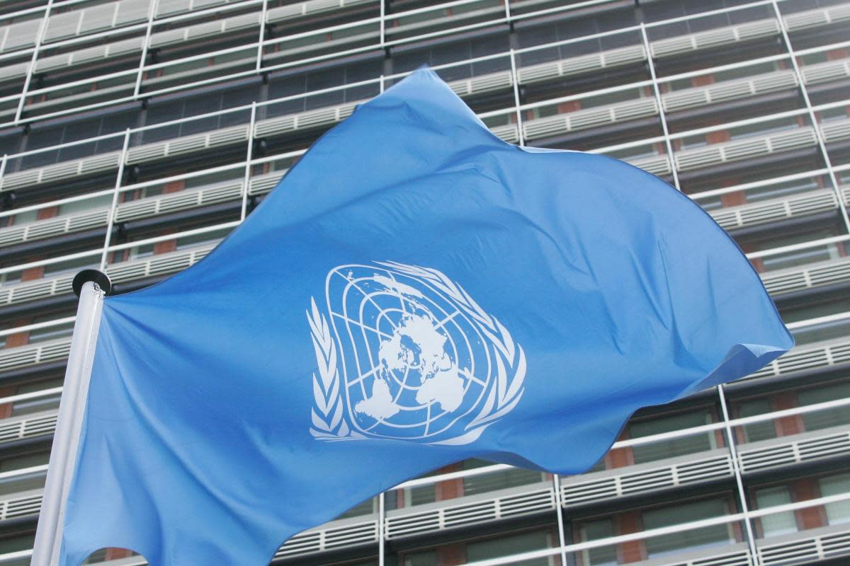 The United Nations flag flies outside its German headquarters in Bonn <i>(Image: Getty Images)</i>