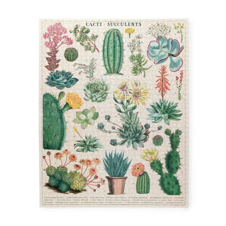 10) Vintage Succulents Puzzle