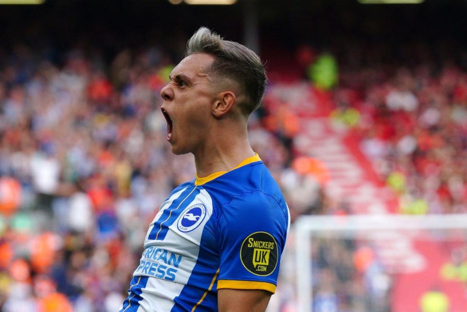 Hat-trick hero: Leandro Trossard’s treble earned Brighton a point in a thrilling game at Anfield on Saturday  (PA)