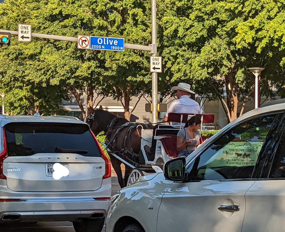 A horse-drawn carriage pictured on a Dallas, Texas street among cars. Activists in favor of the ban say the carriages can be dangerous for both horses and drivers (Gloria Raquel Carbajal)