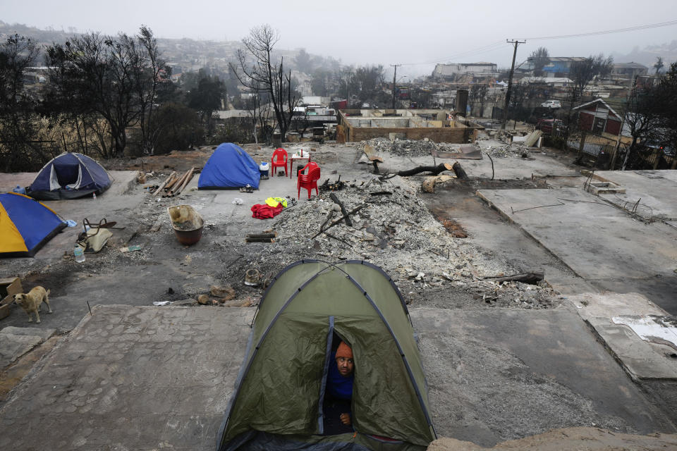 A man peers from the tent where he camped for the night at the spot where his home stood before it was destroyed by a forest fire in the Villa Independencia neighborhood of Vina del Mar, Chile, Tuesday, Feb. 6, 2024. (AP Photo/Esteban Felix)