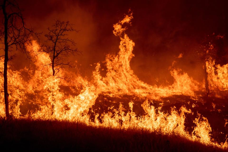 Deadly wildfires in Northern California