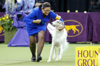 <p>Lucy, a Borzoi walks with her handler after winning best in Hound group during judging at the 142nd Westminster Kennel Club Dog Show in New York, Feb. 12, 2018. (Photo: Brendan McDermid/Reuters) </p>