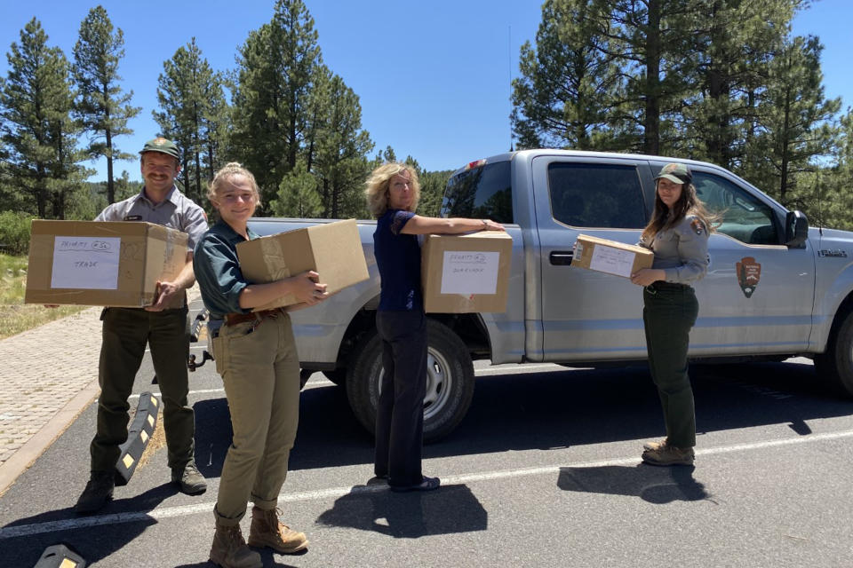 In this photo provided by Darvin Descheny, from left to right, Chris Shaw, Tea Kaplan, Gwenn Gallenstein and Alexandra Covert carry boxes of artifacts that were evacuated from Wupatki National Monument for safekeeping at the Museum of Northern Arizona in Flagstaff, Arizona, on June 14, 2022. The monument and artifacts have been evacuated twice in spring 2022 because of wildfires. (Darvin Descheny/Museum of Northern Arizona via AP)