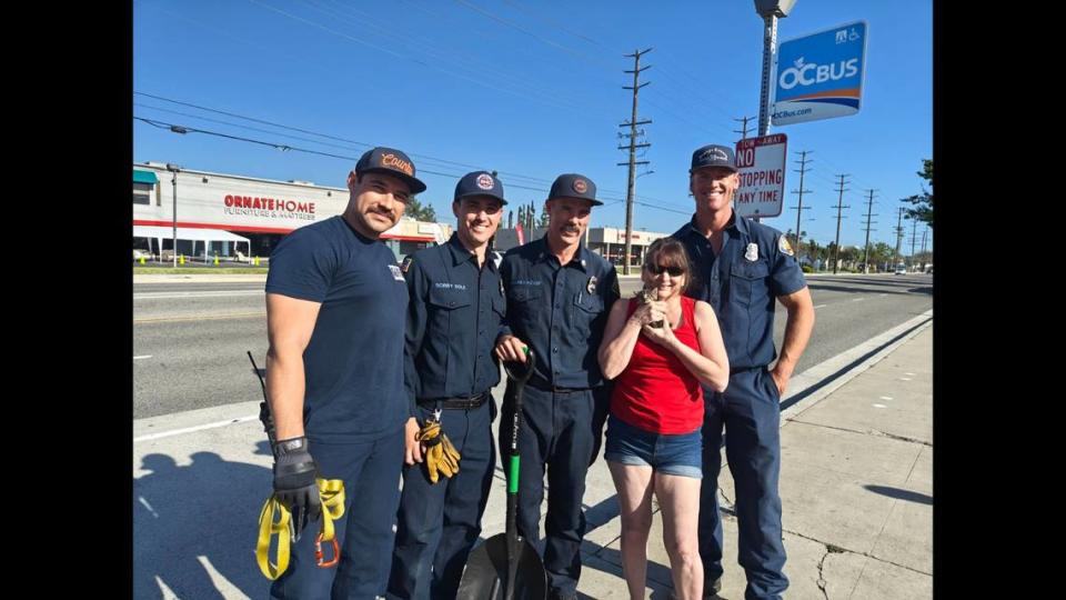 The kitten was OK and already has a foster home. Photo from Orange County Fire Authority