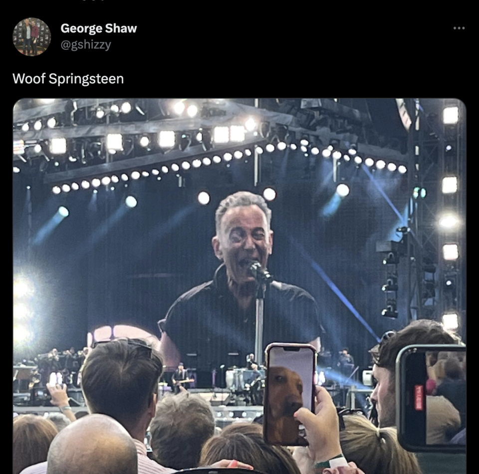 Bruce springsteen fan FaceTimes dog during Edinburgh show (Twitter / @gshizzy)