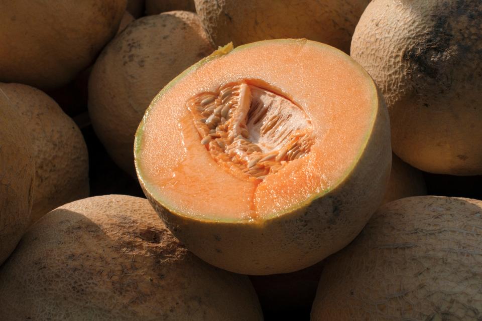 Cantaloupes are displayed for sale. U.S. health officials recalled three more brands of whole and pre-cut cantaloupes on Nov. 24, 2023, as the number of people sickened by salmonella more than doubled this week.