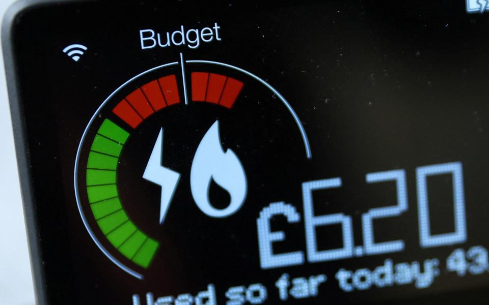 A home smart meter showing energy use is seen in the kitchen of a home - Phil Noble / REUTERS