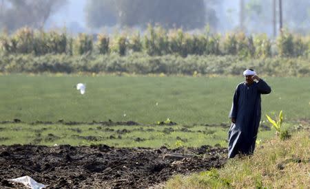 A farmer looks as he stands near a field where rice straw was burned in preparation for the next harvest, at a paddy field in the beginning of an agricultural road leading to Cairo, Egypt in this November 1, 2014 file photo. REUTERS/Amr Abdallah Dalsh/Files