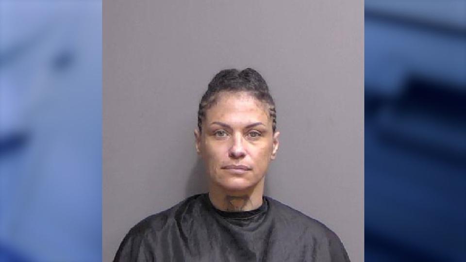 <div>Megan Steele was arrested and charged with violation of pretrial release and scheme to defraud under false pretenses in 2023. (Photo: Flagler County Sheriff's Office)</div>