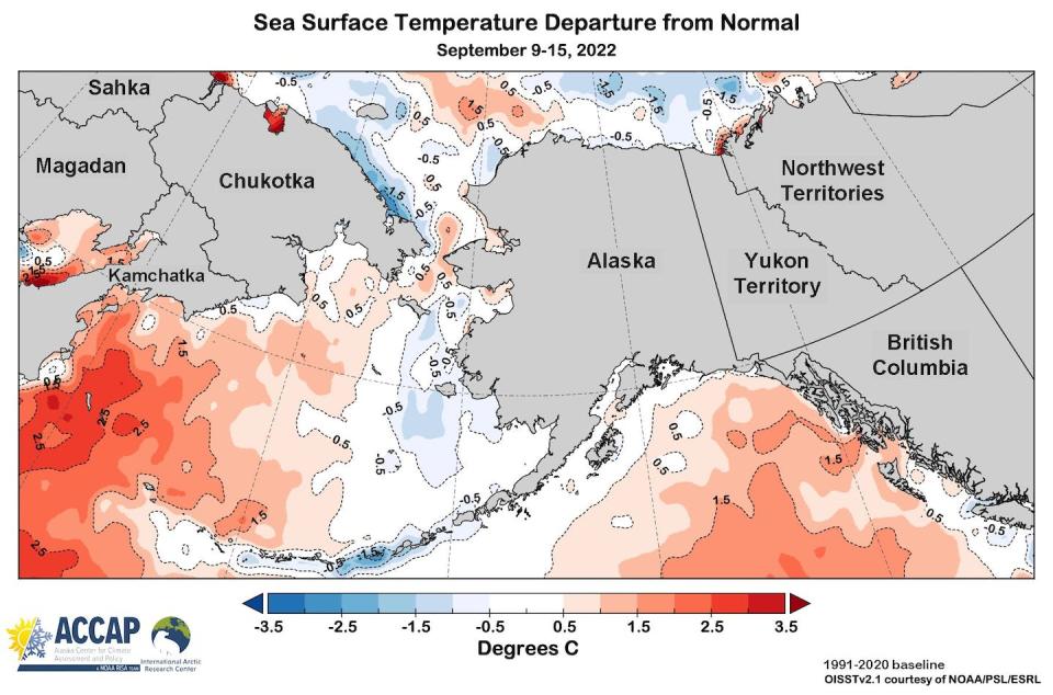 Sea surface temperatures show unusually warm water over the eastern Pacific Ocean, where Typhoon Merbok passed through. <a href="https://uaf-accap.org/" rel="nofollow noopener" target="_blank" data-ylk="slk:Alaska Center for Climate Assessment;elm:context_link;itc:0;sec:content-canvas" class="link ">Alaska Center for Climate Assessment</a>