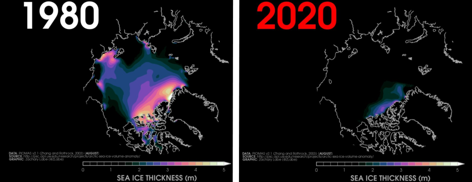 Comparison of sea-ice thickness from 1980 to 2020 / Credit: Zack Labe