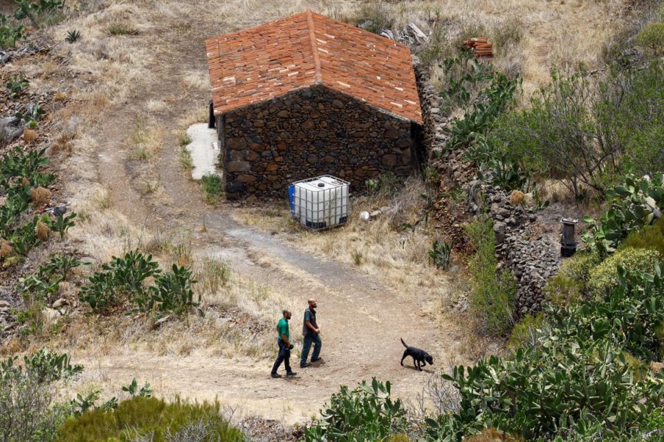 Guardia Civil officers use a dog to search for Jay Slater in the Masca ravine, on the island of Tenerife (REUTERS)