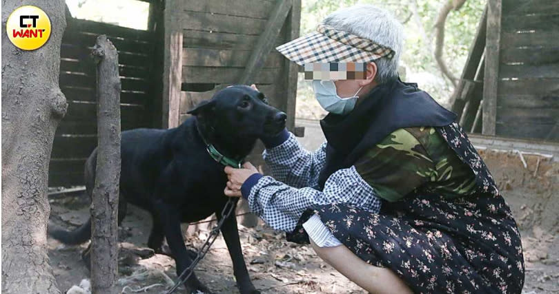 林姓阿嬤先後借給趙女逾5萬元，趙女至今都未還債，還在網路上不斷攻擊阿嬤。（圖／趙世勳攝）