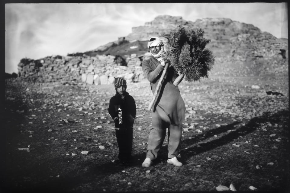 Habibollah, 27, gathers wood to make a fire for cooking, accompanied by his son, Ali Sina, 5, in a camp organized by Afghan nomads, known as Kuchis, in Bamiyan province, Afghanistan, Sunday, June 18, 2023. (AP Photo/Rodrigo Abd)