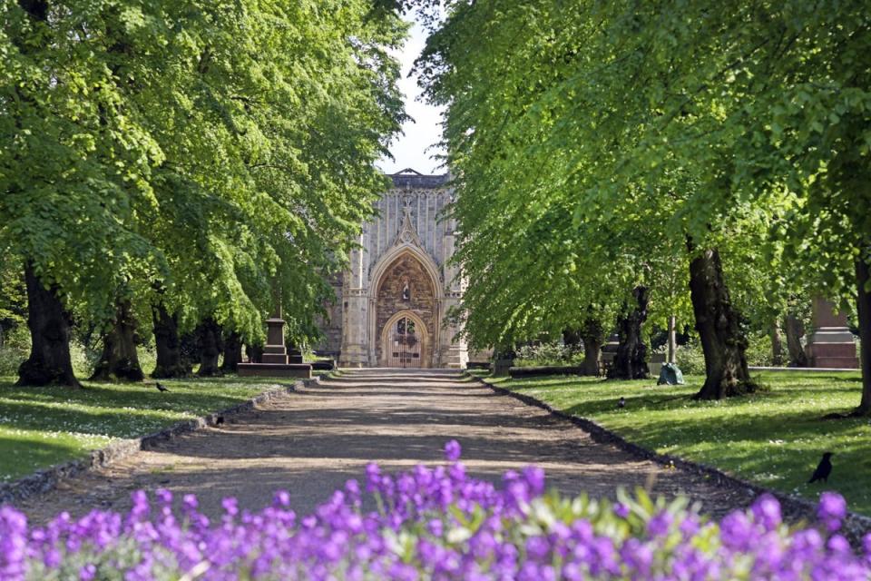 The atmospheric Nunhead Cemetary, Linden Grove (Daniel Lynch)