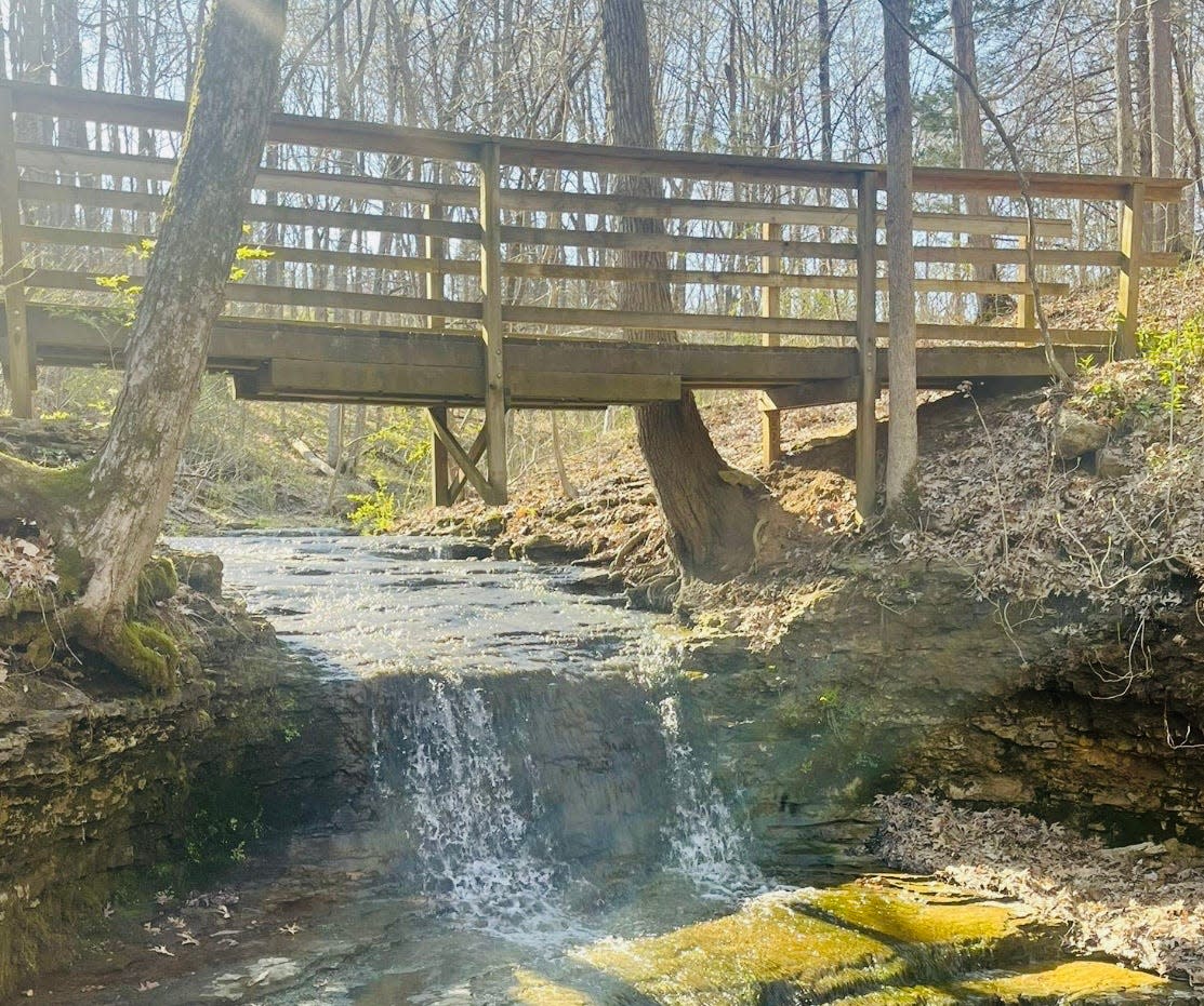 A wooden bridge crosses over a creek with a small waterfall on trail 6 at Charlestown State Park.