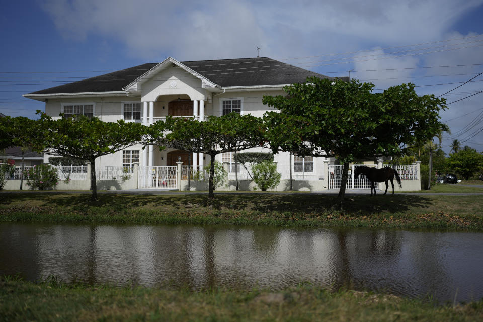 A horse gets shade under a tree, next to a home and a canal in Georgetown, Guyana, Wednesday, April 19, 2023. A World Bank report has cautioned that “the impact of rising sea levels and intensified storm surges in Guyana would be among the greatest in the world, exposing 100% of the country’s coastal agriculture and 66.4% of coastal urban areas to flooding and coastal erosion.” (AP Photo/Matias Delacroix)