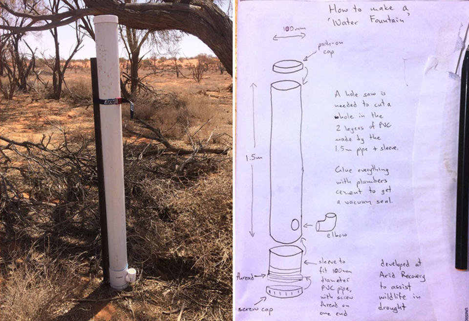 A homemade water fountain made from PVC piping is pictured alongside instructions on how to build one.