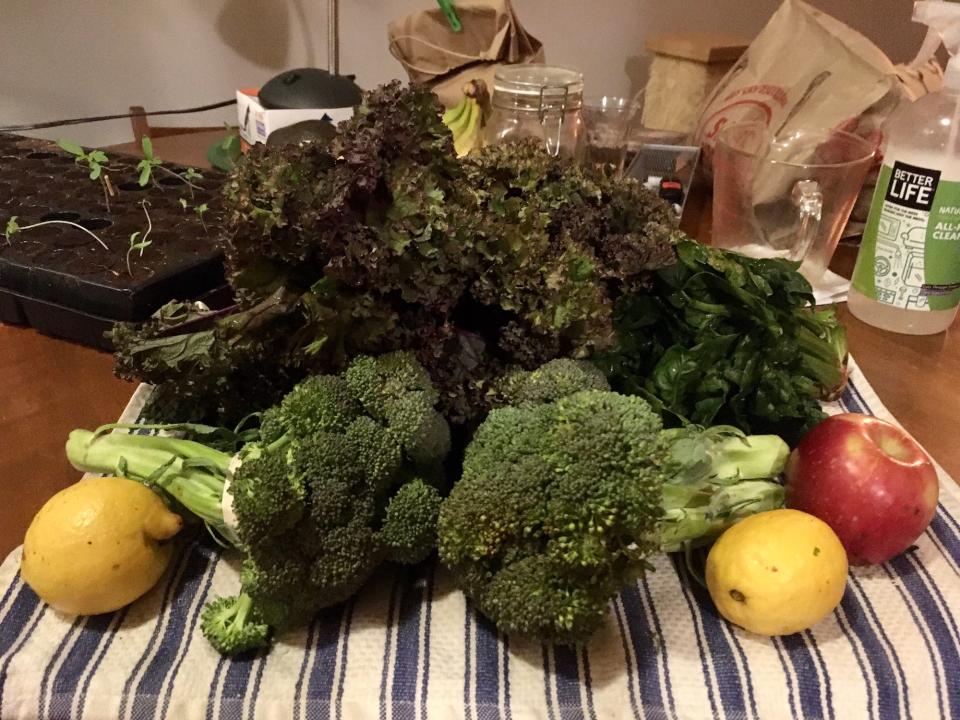 My latest freegan foray netted me a cornucopia of fruits and veggies.