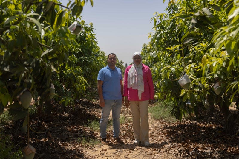 Rehim Salah and her husband Amer stand in their mango and citrus farm in the desert just outside of Egypt's Nile Delta.