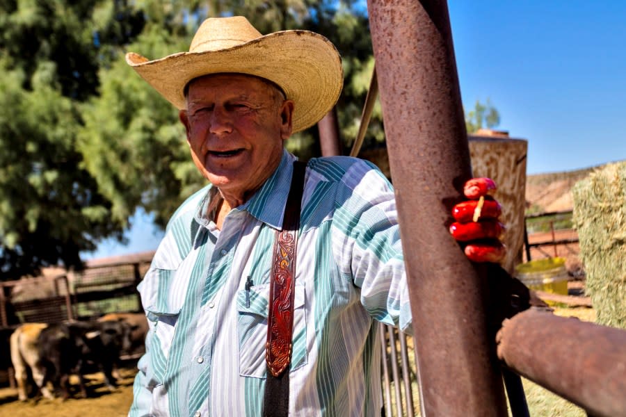 Cliven Bundy stands in a cattle pen at his ranch, Tuesday, April 9, 2024, in Bunkerville, NV. Ten years have passed since hundreds of protesters including armed riflemen answered a family call for help which forced U.S. agents and contract cowboys to abandon an effort to round up family cattle in a dispute over grazing permits and fees. Despite federal prosecutions, no family members were convicted of a crime. (AP Photo/Ty ONeil)