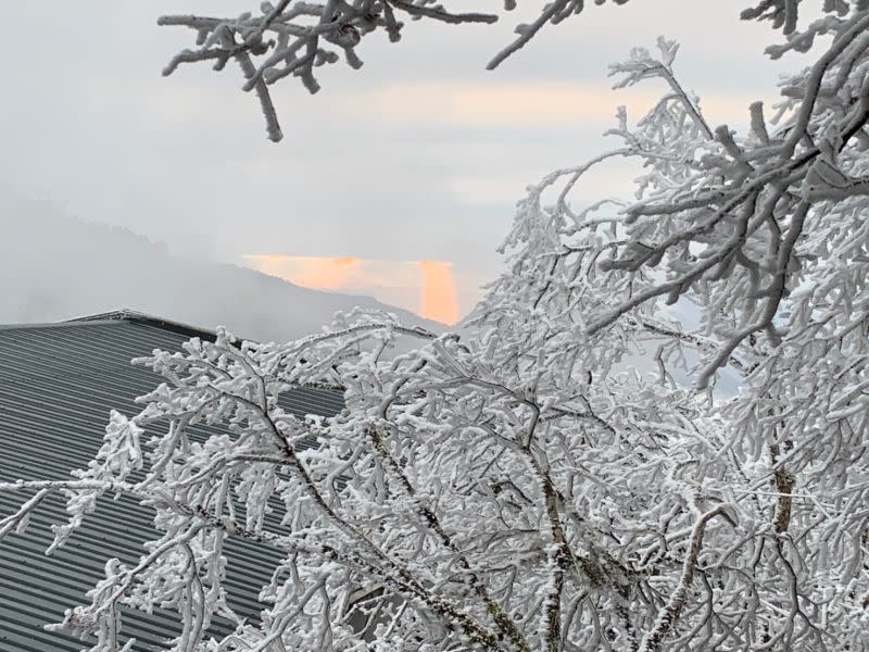 The first snowfall in 3 years at Taipingshan. (Photo courtesy of Taipingshan National Forest Recreation Area)