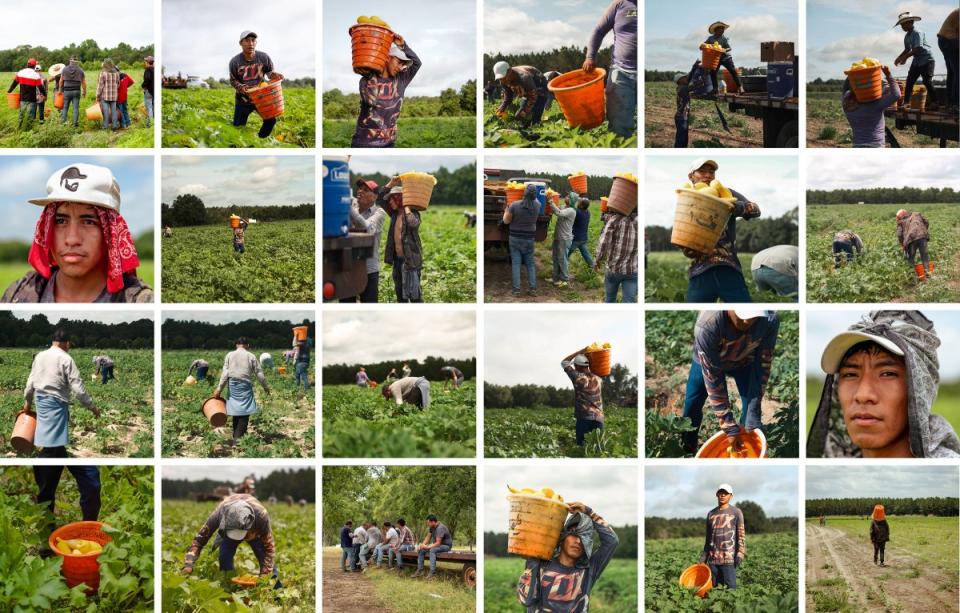 Migrant workers from Mexico, working on six-month visas, pick squash and peppers on a farm in Lyons, Ga., in July of 2023. <span class="copyright"><strong>José Ibarra Rizo for TIME</strong></span>