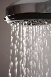 Shower Head Picture - Tipnut.com