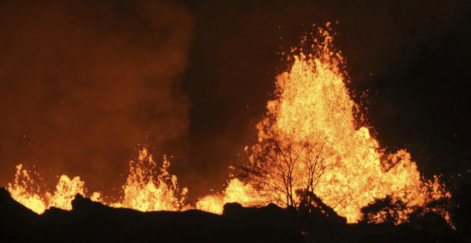 FILE - In this May 20, 2018, file photo, lava from an open fissure on Kilauea volcano shoots high above a tree near Pahoa, Hawaii. Hawaii Volcanoes National Park will reopen its main gates Saturday, Sept. 22, 2018, welcoming carloads of visitors eager to see Kilauea's new summit crater and the area where a longstanding lava lake once bubbled near the surface. The park has been closed for 135 days as volcanic activity caused explosive eruptions, earthquakes and the collapse of the famed Halemaumau crater. (AP Photo/Caleb Jones, File)